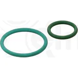 Sada tesneni, vstrikovaci cerpadlo, 455.290