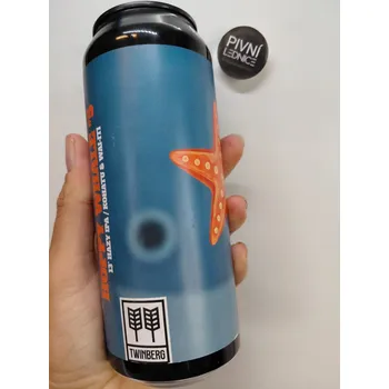 Pivo Twinberg Hoppy Whale #5 13°/5,6% 0,5l