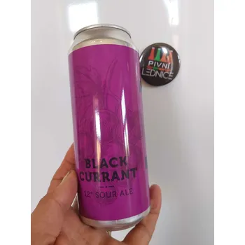 Pivo Clock Black Currant Sour Ale 12°/5,1% 0,5l