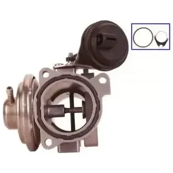 Ventil palivového systému QWP AGR ventil QWP WEG105