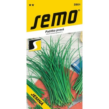 Sazenice Pažitka JEMNÁ