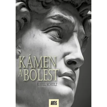 Kniha Kámen a bolest [E-kniha] - Karel Schulz