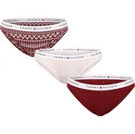 3PACK dámské kalhotky Tommy Hilfiger vícebarevné (UW0UW06133 0WX) S