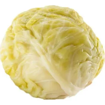 konzervovaná zelenina Kysané zelí na závitky 3kg Murata (hlávka)