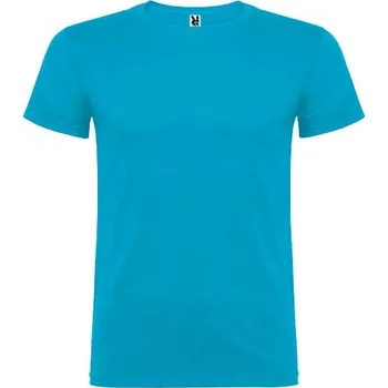 Beagle dětské tričko s krátkým rukávem - Tyrkysová, 5/6