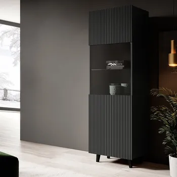 Policová skříň Moderní prosklená vitrína HAER - antracitová / černá