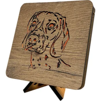 Lampička Li-Go "Dalmatin" lampa 19x19cm provedení povrchu: dub