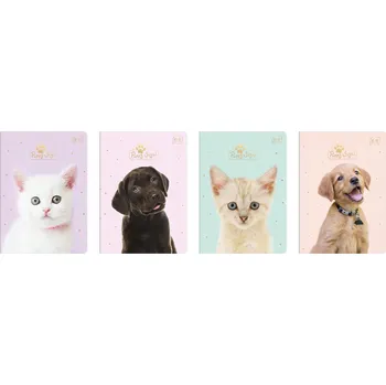 Sešit Sešit A5 s linkami Interdruk, 32 listů, měkká obálka, vícebarevný