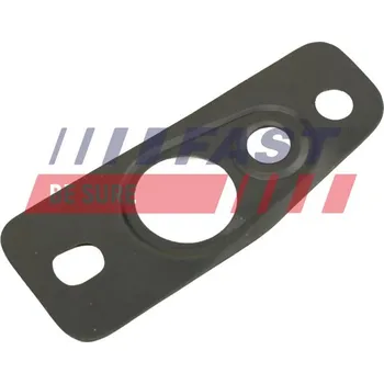 Těsnění motoru Těsnění, výpust oleje FAST FT48807