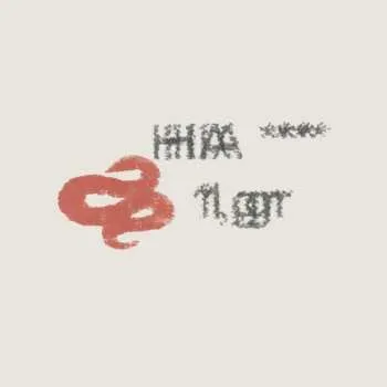 Zahraniční hudba LP Geier aus Stahl: Strapazen und Genesung 2022