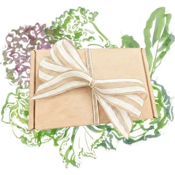 Dárkové balení semen listové zeleniny