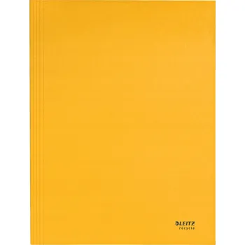 Pořadač / Organizér A4 Leitz