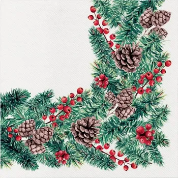 Papírový ubrousek Ubrousky PAW AIRLAID 40x40cm, AAND017300