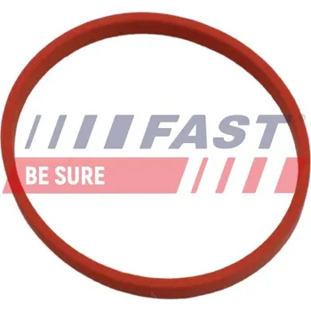 Těsnění, vedení AGR ventilu FAST FT49868