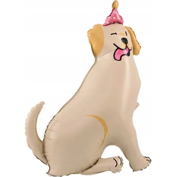 Balónek Fóliový balónek stojící Pes Zlatý retrívr s čepičkou 76x96 cm
