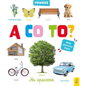 První čtění Powiedz a co to ? Na spacerze - opracowanie zbiorowe
