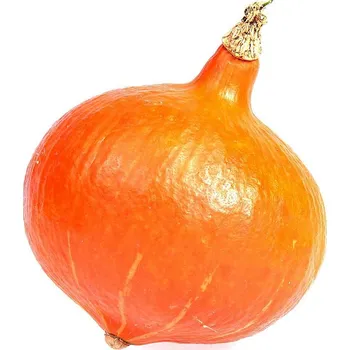 ASO - Zdravý život Dýné bio 1kg