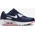 Chlapecké tenisky NIKE Air Max 90 LTR DV3607-400