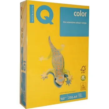 Kancelářský papír Kancelářský papír Mondi formát A4 160g