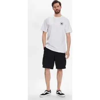Pánské oblečení DC Shoes T-Shirt Star Pilot ADYZT04991 Bílá Relaxed Fit L