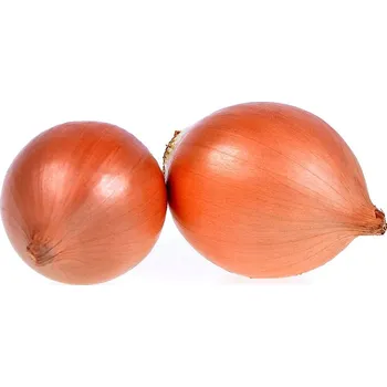 Potravina ASO - Zdravý život Cibule žlutá Bio 1kg