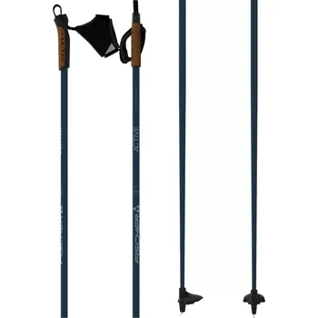 Běžkařská hole Hůlky Fischer ACTIVE 2025/26 135 modrá