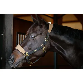 Catago Ohlávka Grand FIR-Tech CATAGO, kangaroo EXTRA FULL