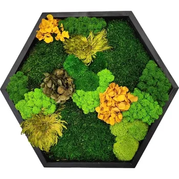 Obraz Mechdekor Mechový hexagon černý 50cm mix mechů + rostliny