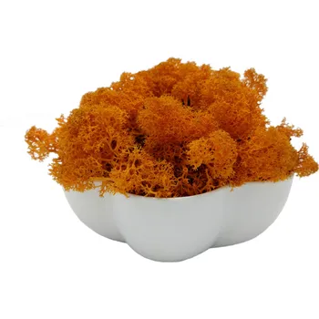 Mechdekor Norský Sobí Mech balení - podzimní / autumn Váha: 250g