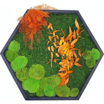 Obraz Mechdekor Mechový černý hexagon 60cm mix mechů + rostliny
