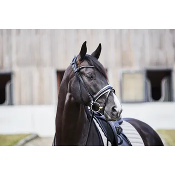 Věšák na sedlo a uzdečku Catago Uzdečka Savi CATAGO, černá/bílá PONY