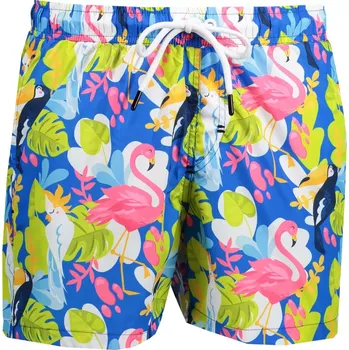 Pánské kraťasy Pánské šortky OMBRE AW164 BLUE/GREEN M