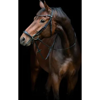 Horseguard Uzdečka Cryll 25.2 HorseGuard, černá PONY