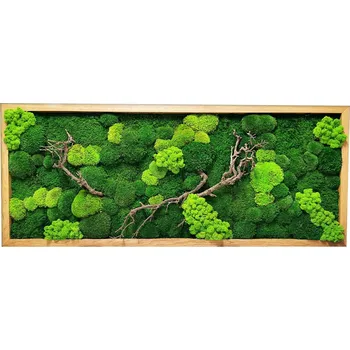 Obraz Mechdekor Mechový obraz mix různých mechů - 136x56cm tenký dubový rám s dřevinami Rám: Dřevěný, Barva Rámu: Antracit