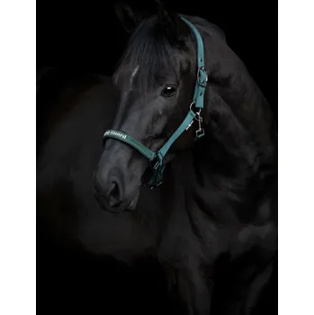 Horseguard Ohlávka Sandra HorseGuard, darkest spruce SHETTY