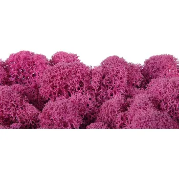 Mechdekor Polarmoss Finský Sobí Mech - růžová Váha: 250g
