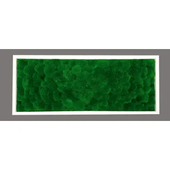 Obraz Mechdekor Mechový obraz Kopečkový mech světle zelený – 136x56cm bílý tenký dřevěný rám Rám: Dřevěný, Barva Rámu: Černá