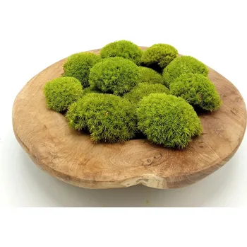 umělá květina Mechdekor Kopečkový mech premium- volně v kartonu - jarní zelená ball moss Množství: 0,25 m2