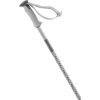 Sjezdová hůlka Salomon POLAR Grey Violet 115