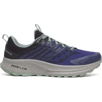Pánská běžecká obuv Saucony Ride TR2 GTX M S20953-260 - regal/black 44