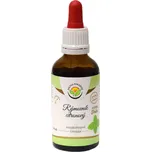 Salvia Paradise Rýmovník citronový AF…