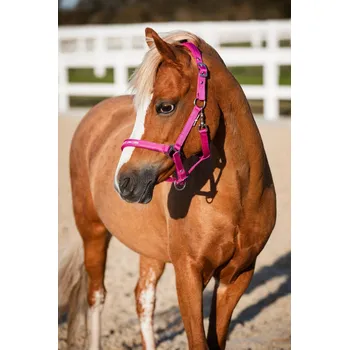 Horseguard Ohlávka Malva HorseGuard, phlox pink MINI SHETTY