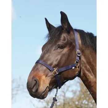 Horseguard Ohlávka Nylon Slide HorseGuard, navy PONY