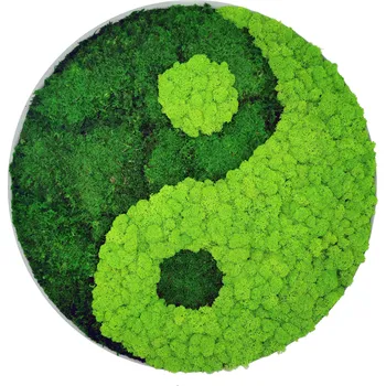 Obraz Mechdekor Mechový obraz Kulatý Jin Jang v kovovém rámu se sobím mechem