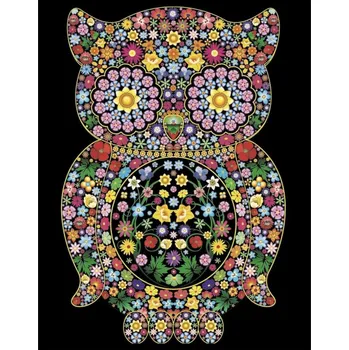 omalovánky Omalovánky Colorvelvet Sametový obrázek Sova