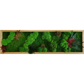 Obraz Mechdekor Obraz Mix mechů – 140x40 cm přírodní dubový rám Rám: Dřevěný, Barva Rámu: Černá