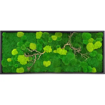 Obraz Mechdekor Mechový obraz 136x56cm Černý kovový rám – Mix mechů s dřevinami Rám: Dřevěný, Barva Rámu: Bílá