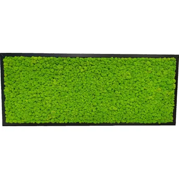 Obraz Mechdekor Mechový obraz Finský Sobí mech světle zelený - 136x56cm tenký černý dřevěný rám Rám: Dřevěný, Barva Rámu: Šedá
