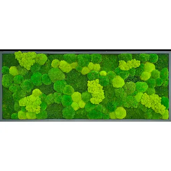 Obraz Mechdekor Mechový obraz Mix mechů – 136x56 cm kovový rám antracit Rám: Dřevěný, Barva Rámu: Šedá