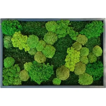 Obraz Mechdekor Mechový obraz 60x40cm mix v dřevěném úzkém rámu antracitové barvy